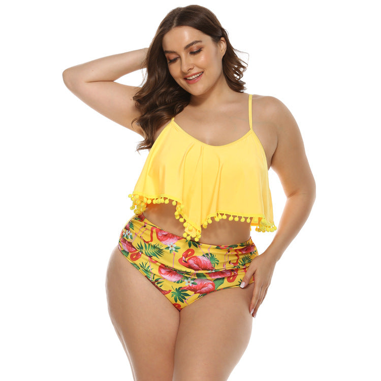 Plus Size Women Bikini